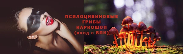 гидропоника Магас