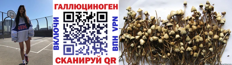 Псилоцибиновые грибы GOLDEN TEACHER  Купить где  Ефремов 